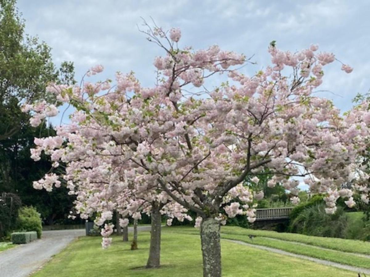 Amuri Villas Clive Exteriör bild