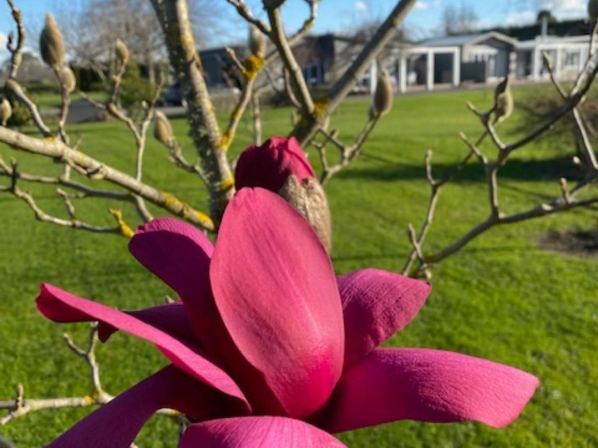 Amuri Villas Clive Exteriör bild